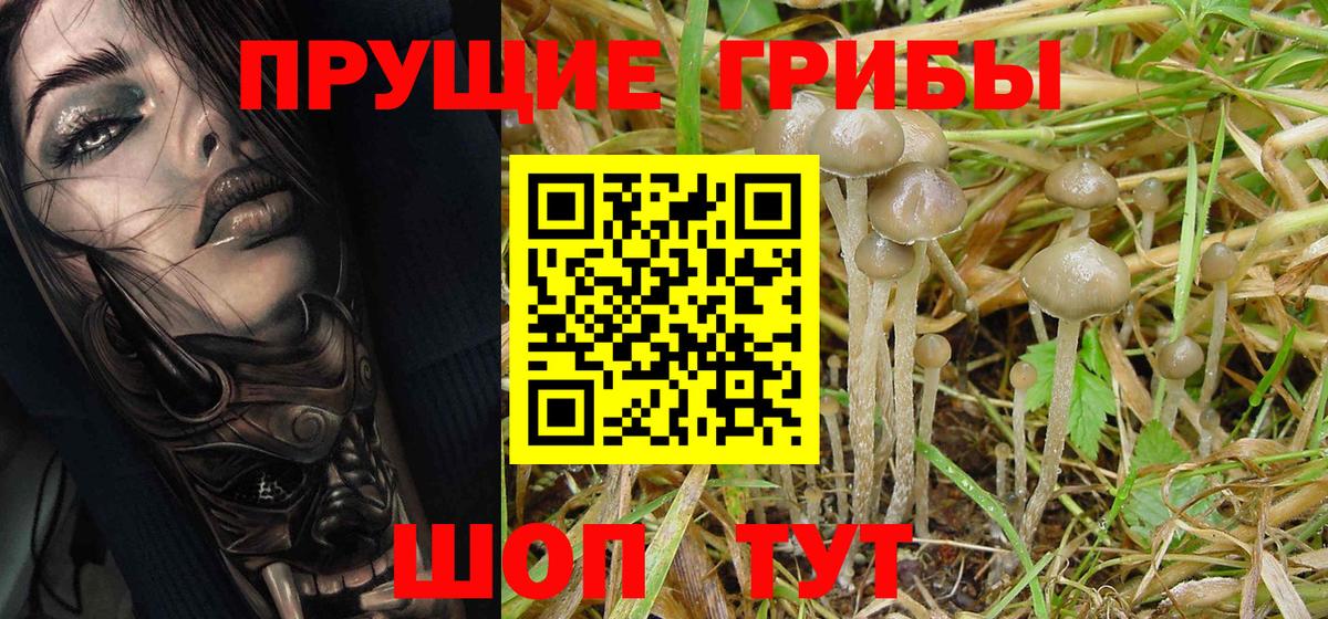 Псилоцибиновые грибы MAGIC MUSHROOMS Алексеевка